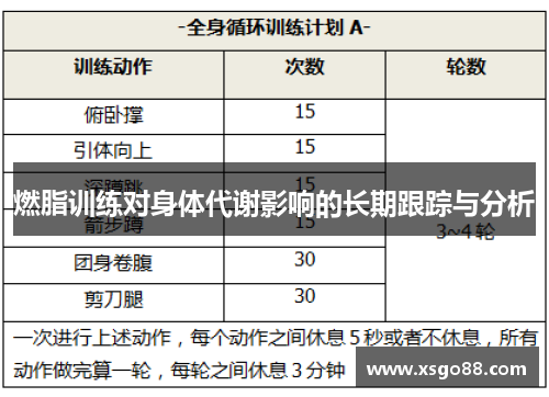 燃脂训练对身体代谢影响的长期跟踪与分析